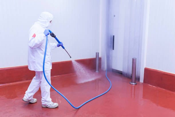 Best Graffiti Removal  in Marietta, OK